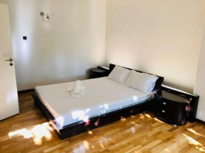 Joy City Stay George Enescu 12
